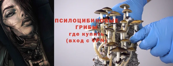 трава Новодвинск
