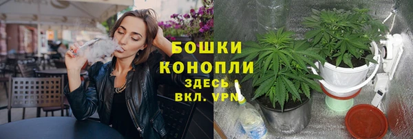 Альфа ПВП Абаза