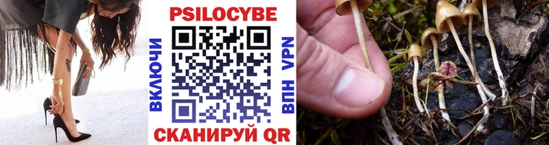 Псилоцибиновые грибы Psilocybine cubensis  Ханты-Мансийск 